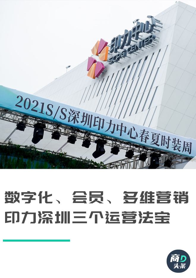 一肖一码一一肖一子深圳,一肖一码一一肖一子在深圳的独特印记