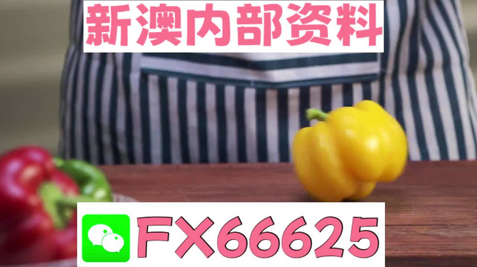 新澳最新最快资料,新澳最新最快资料，掌握信息优势，洞悉前沿动态