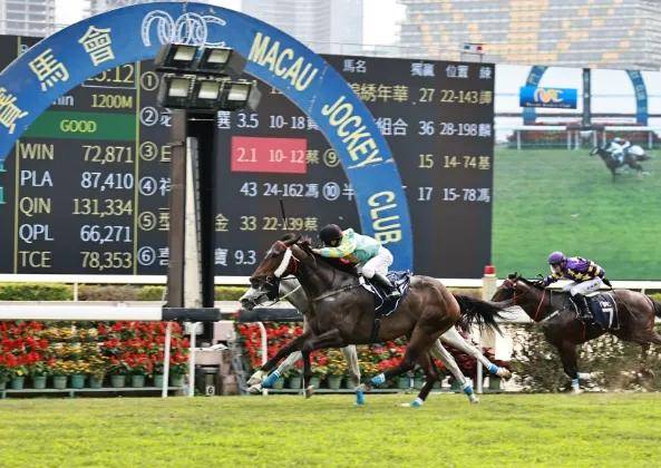 2022澳门特马今晚开奖现场实况,澳门特马开奖现场实况，见证历史时刻的激情与期待