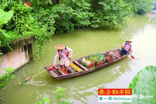 2025新臭精准资料大全,2025新臭精准资料大全——探索未来的关键资源