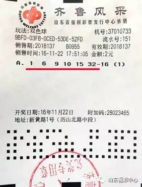 2025澳门特马今晚开奖06期,澳门特马今晚开奖06期，探索彩票背后的文化与社会影响
