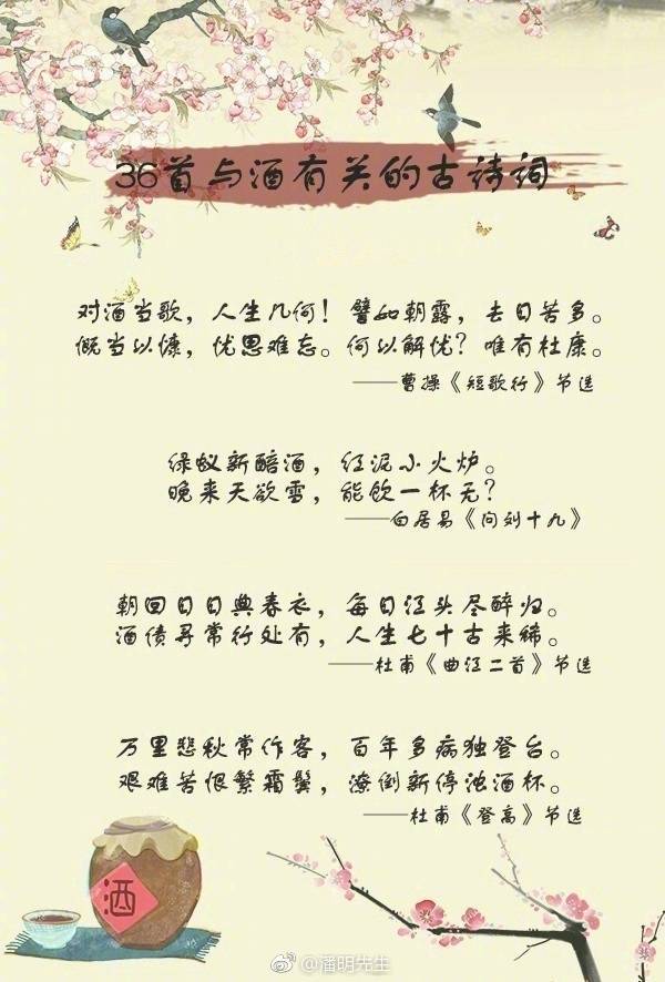 白小姐449999精准一句诗,白小姐449999精准一句诗，探索美丽与智慧的交融