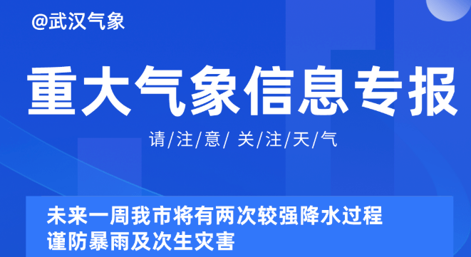 2025新奥资料免费精准051,探索未来，2025新奥资料的免费精准共享之路（关键词，新奥资料、免费精准、051）