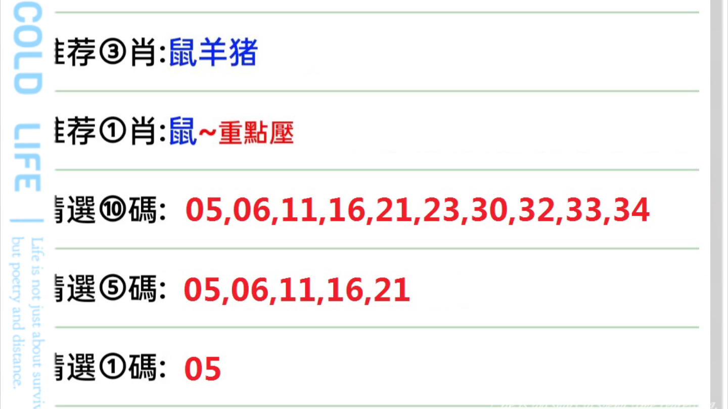 澳门一肖一码一一子,澳门一肖一码一一子，探索与解析