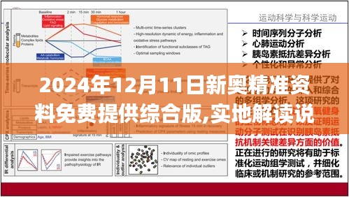 2025新奥正版资料免费大全,2025新奥正版资料免费大全，全面解析与获取指南