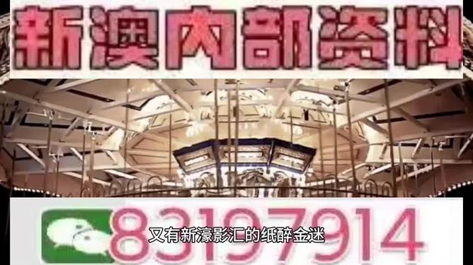 澳门特马今天开奖结果,澳门特马今天开奖结果及其背后的故事