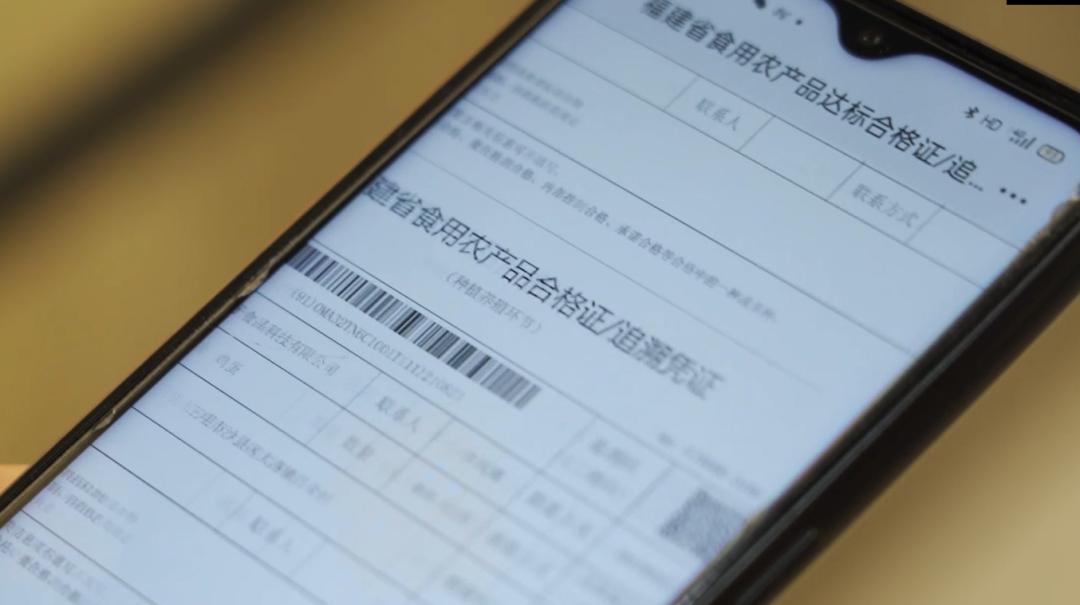 精准一码免费资料大全下载,精准一码免费资料大全下载，探索与利用