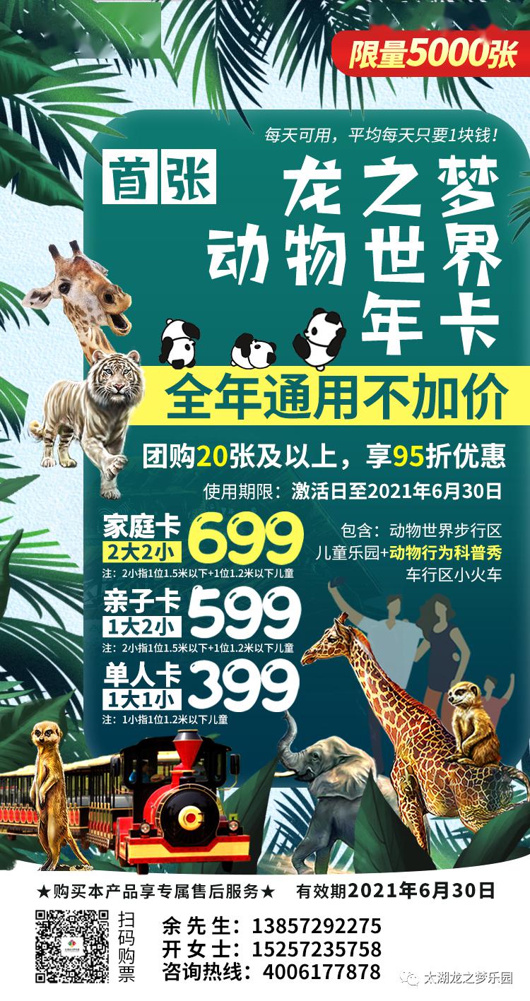 香港今晚开什么特马,香港今晚的马票特马预测与赛马文化深度解析