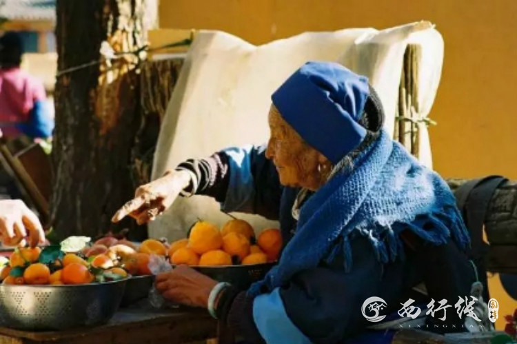 澳门水果奶奶,澳门水果奶奶，鲜果背后的温情故事
