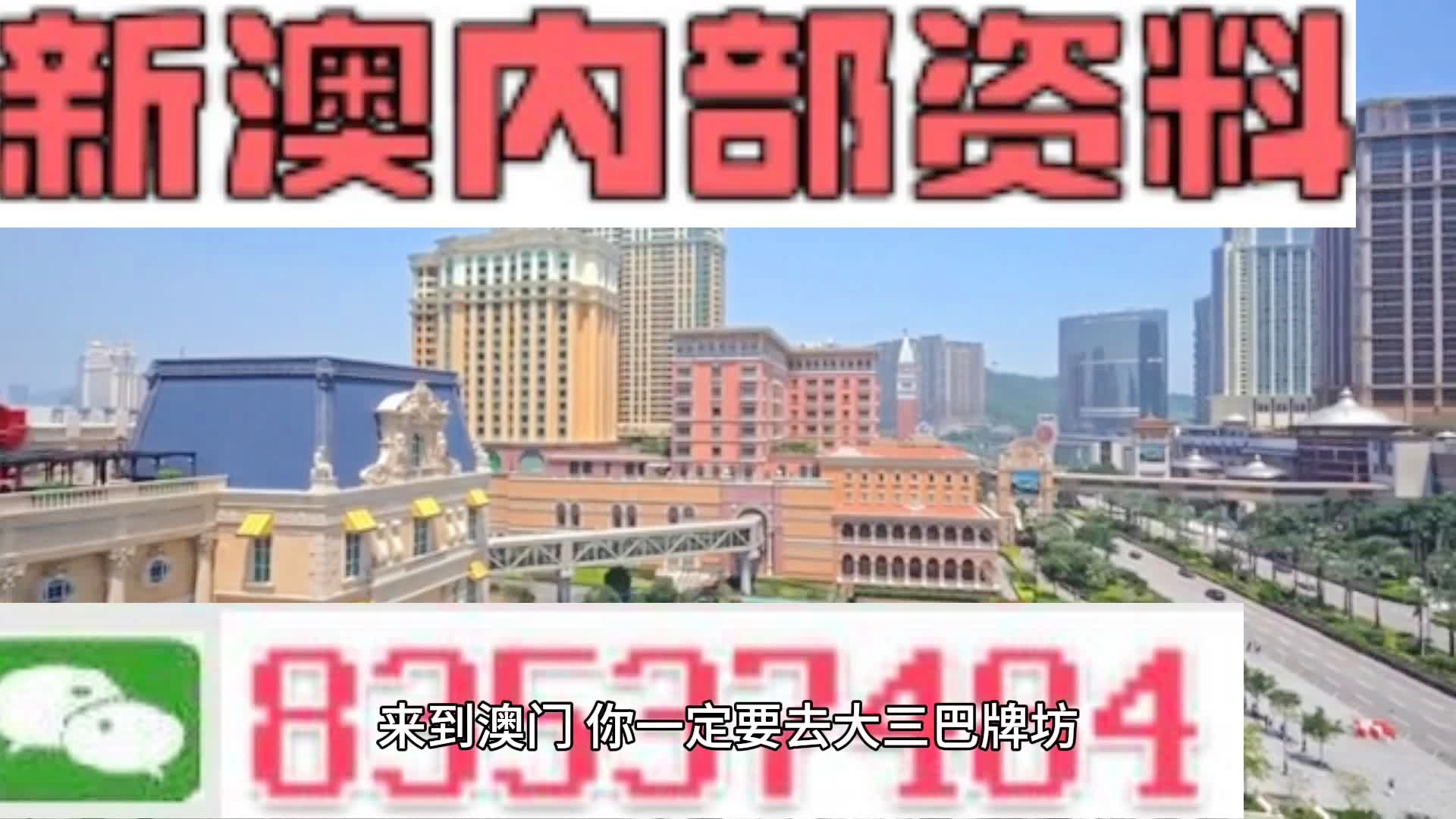 新奥门正版免费资料怎么查,新澳门正版免费资料的查找方法与注意事项