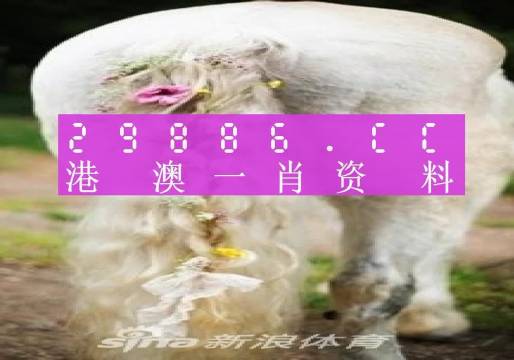 澳门一肖一码准选一码2023年,澳门一肖一码准选一码，探索预测背后的故事与逻辑（2023年）