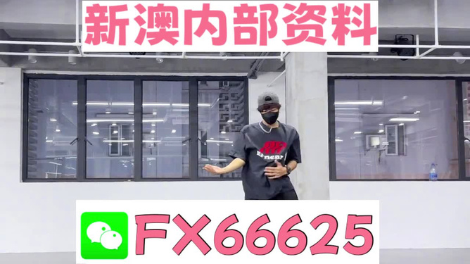管家婆精准一码一肖揭秘,揭秘管家婆精准一码一肖，探寻背后的秘密