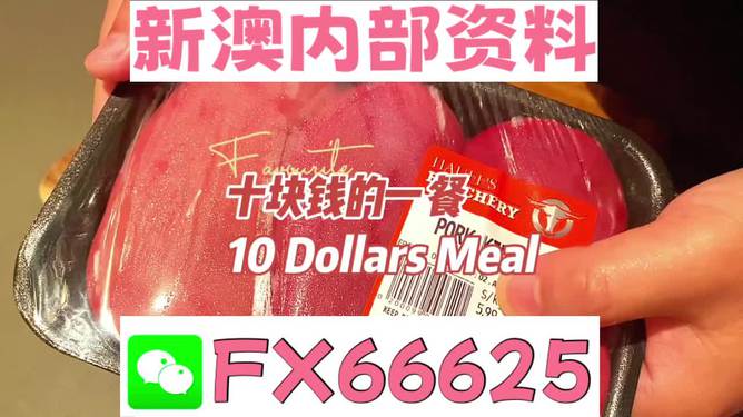 新澳最精准免费资料大全298期,新澳最精准免费资料大全298期，深度解析与预测