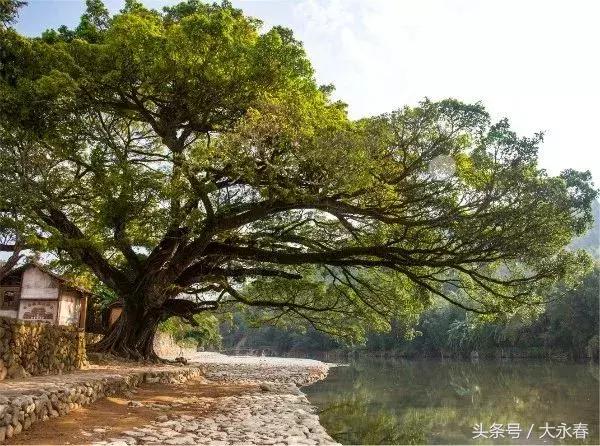 三中三必中一组澳门,澳门三中三必中之奥秘，一组独特的探索