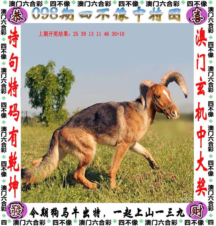 百科 第146页