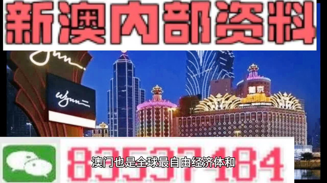 新澳门内部精准二肖,新澳门内部精准二肖的奥秘与探索