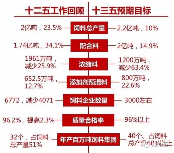 2025年天天彩精准资料,探索未来彩票之路，2025年天天彩精准资料解析