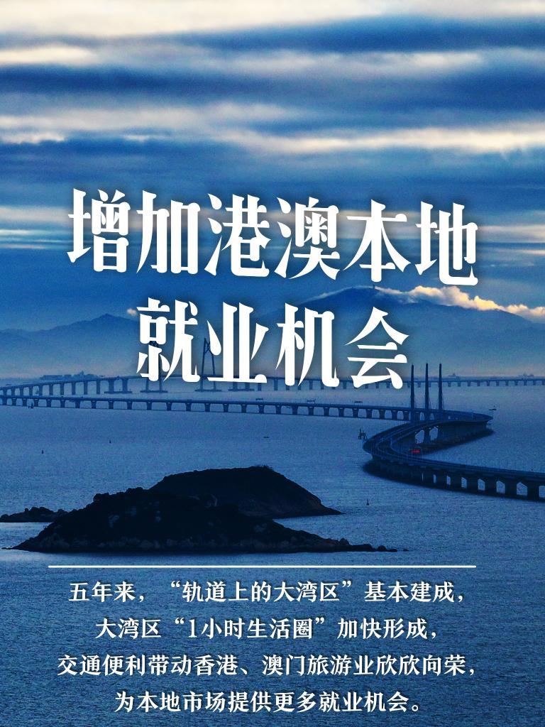 新澳门高级内部资料免费,新澳门高级内部资料免费，深度探索与理解