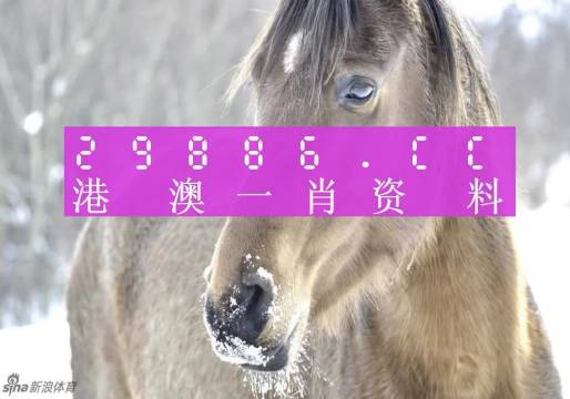 新澳门一肖一码100%准确,探索新澳门一肖一码，追求百分之百准确性的奥秘