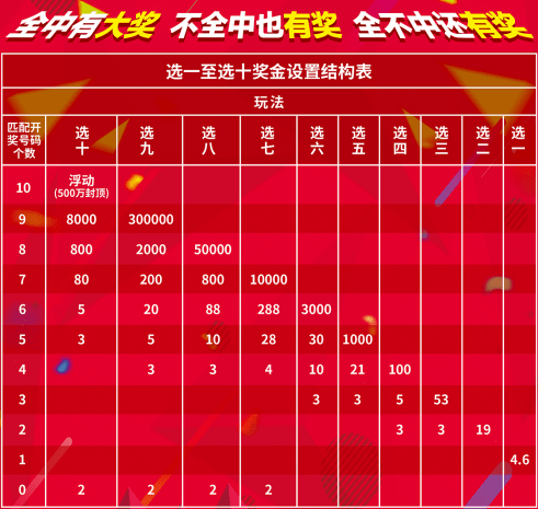 白小姐今晚特马开奖结果,白小姐今晚特马开奖结果揭晓——期待与惊喜的交汇点