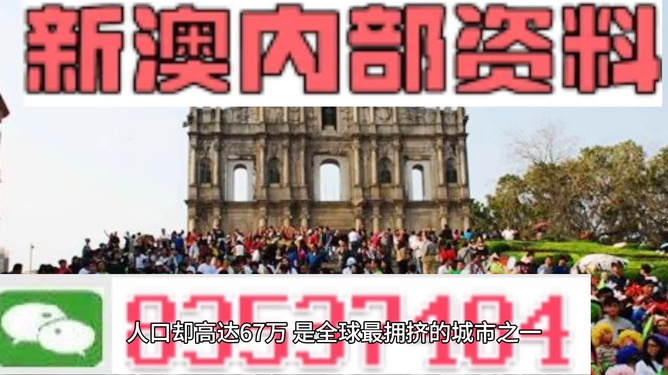 新澳门今晚精准一肖,新澳门今晚精准一肖预测及分析