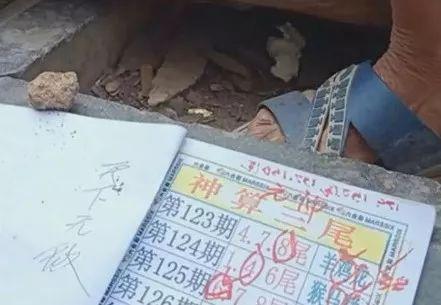 2025六开彩天天免费资料大全,关于六开彩天天免费资料大全的探讨与理解
