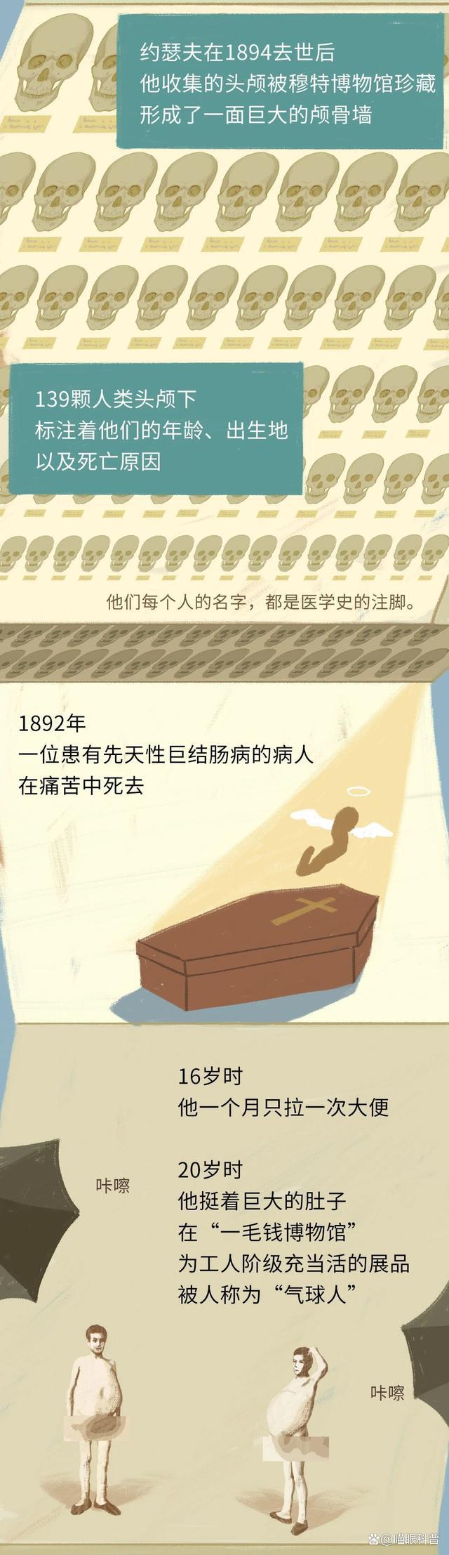 246天天彩奂费资料大全,探索246天天彩奂费资料大全，揭示其奥秘与价值