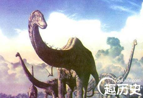 2025全年免费资料大全,探索未来之门，2025全年免费资料大全